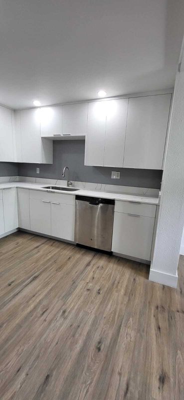 Modern kitchen with custom cabinetry and quartz counters
