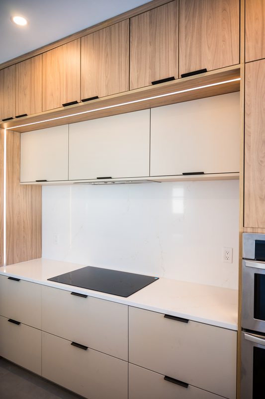Contemporary kitchen with integrated cabinetry
